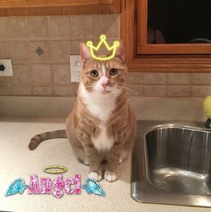 Meet your Posher, Sandra